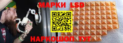 гидра Донской