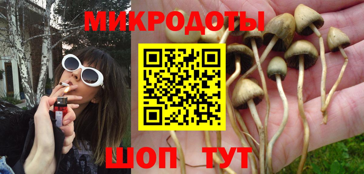 Галлюциногенные грибы мицелий Невинномысск